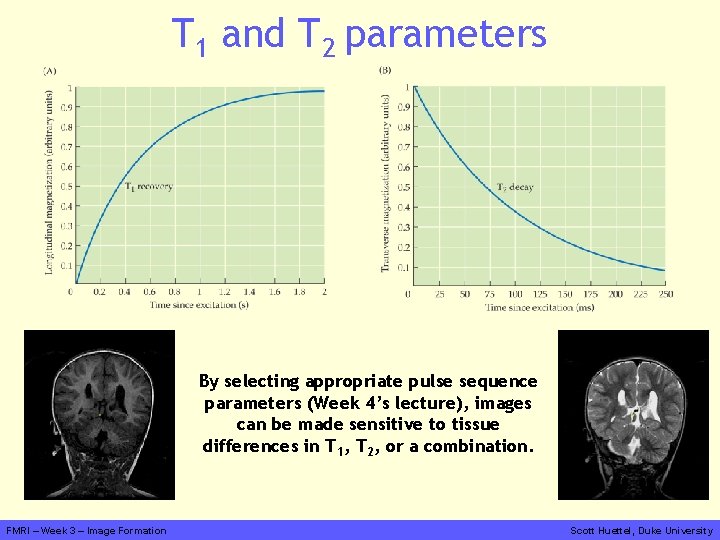 T 1 and T 2 parameters By selecting appropriate pulse sequence parameters (Week 4’s