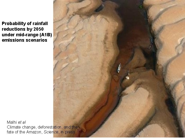 Probability of rainfall reductions by 2050 under mid-range (A 1 B) emissions scenarios Malhi