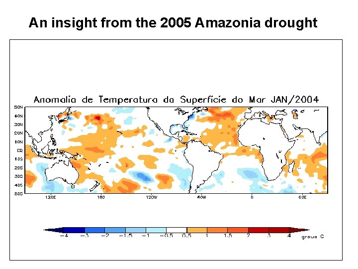 An insight from the 2005 Amazonia drought 