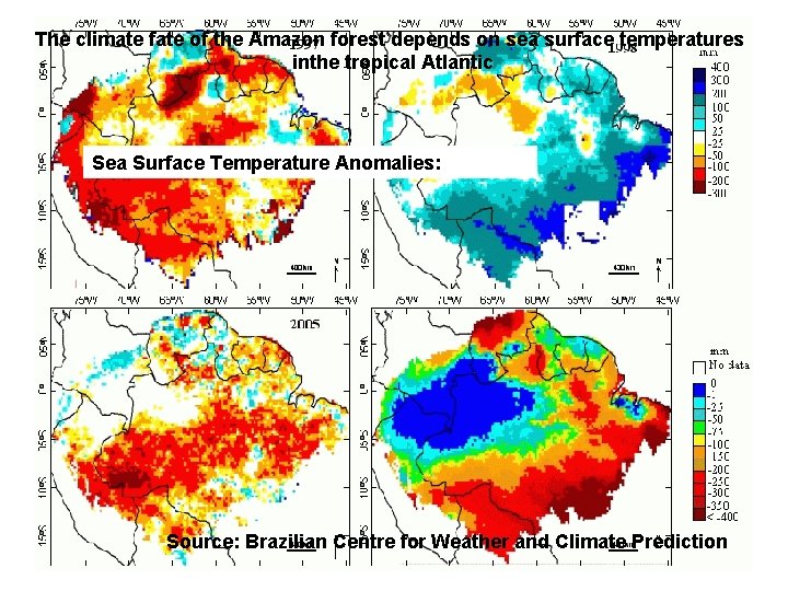 The climate fate of the Amazon forest depends on sea surface temperatures inthe tropical