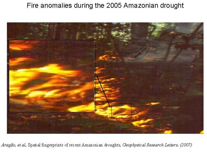 Fire anomalies during the 2005 Amazonian drought n tio ta es r o ef