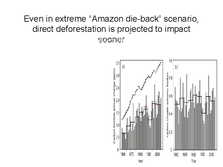 Even in extreme “Amazon die-back” scenario, direct deforestation is projected to impact Forest cover