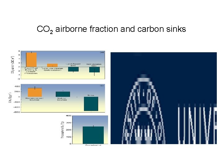 CO 2 airborne fraction and carbon sinks 