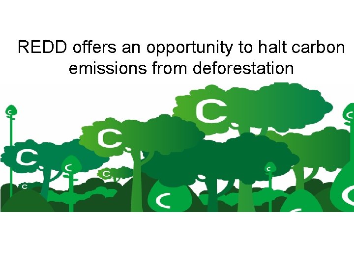 REDD offers an opportunity to halt carbon emissions from deforestation 