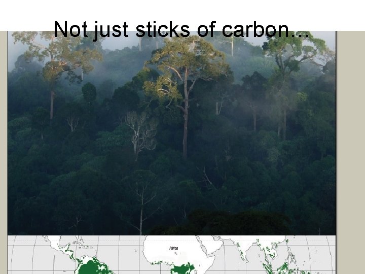 Not just sticks of carbon… 