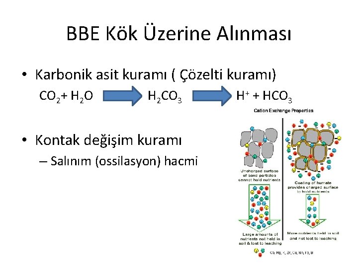 BBE Kök Üzerine Alınması • Karbonik asit kuramı ( Çözelti kuramı) CO 2+ H