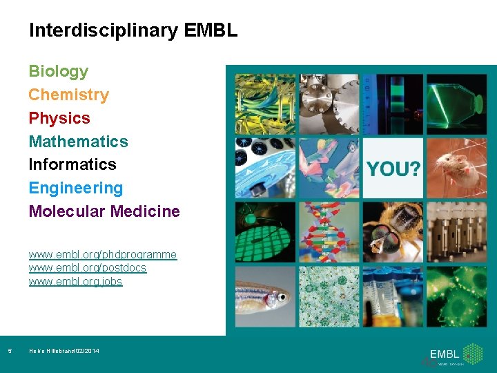 Interdisciplinary EMBL Biology Chemistry Physics Mathematics Informatics Engineering Molecular Medicine www. embl. org/phdprogramme www.