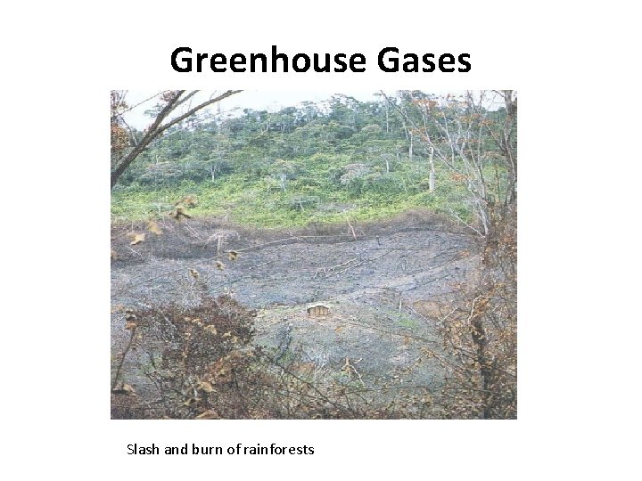 Greenhouse Gases Slash and burn of rainforests 
