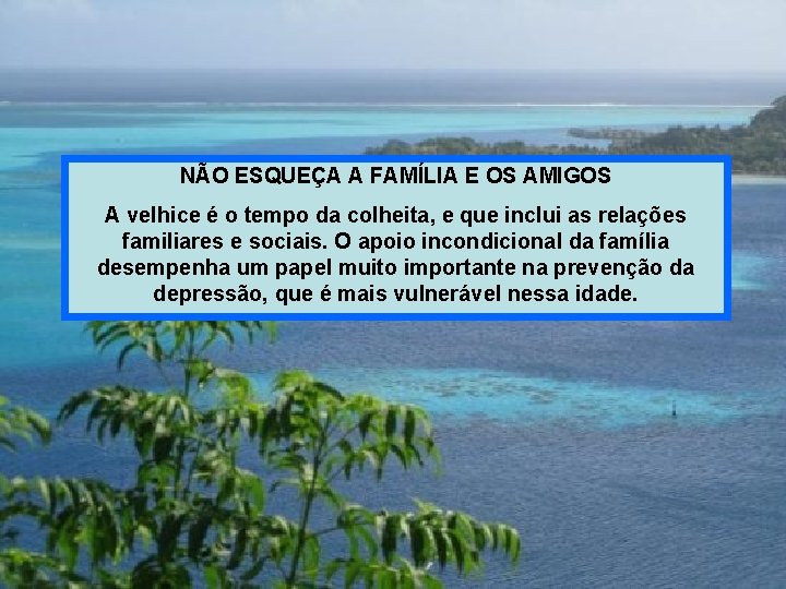 NÃO ESQUEÇA A FAMÍLIA E OS AMIGOS A velhice é o tempo da colheita,