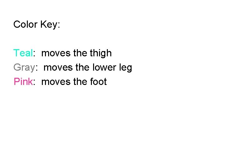 Color Key: Teal: moves the thigh Gray: moves the lower leg Pink: moves the