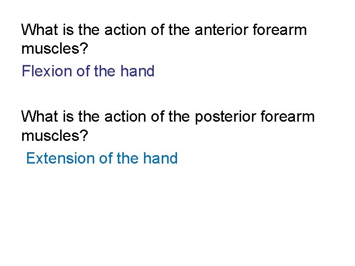 What is the action of the anterior forearm muscles? Flexion of the hand What