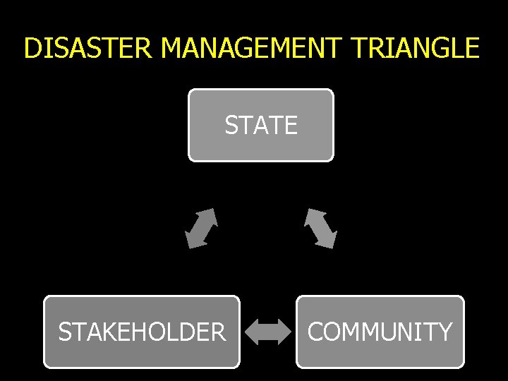 DISASTER MANAGEMENT TRIANGLE STATE STAKEHOLDER COMMUNITY 