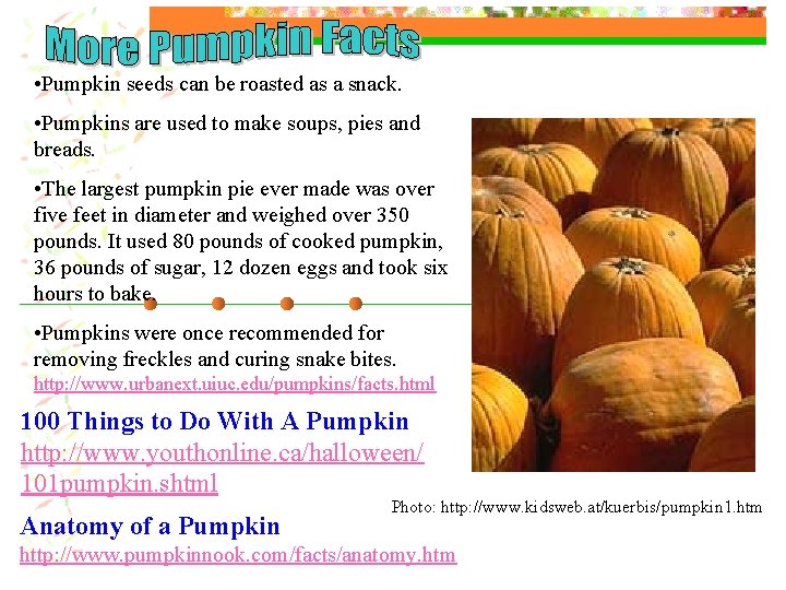  • Pumpkin seeds can be roasted as a snack. • Pumpkins are used
