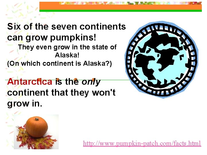 Six of the seven continents can grow pumpkins! They even grow in the state