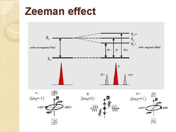 Zeeman effect s- ( ml=-1 ) ( ml=0 ) s+ ( ml=+1 ) 