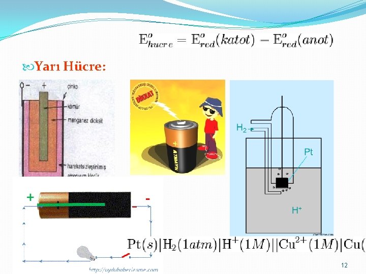  Yarı Hücre: 12 