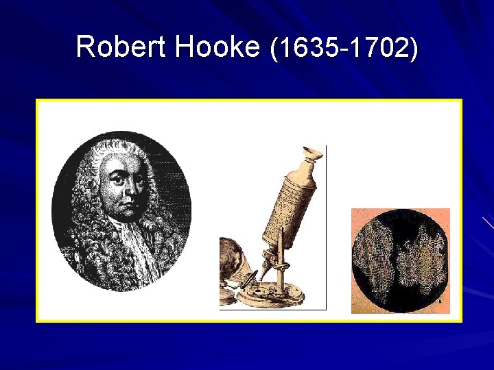 Robert Hooke (1635 -1702) Robert Hooke (1635 -1702)