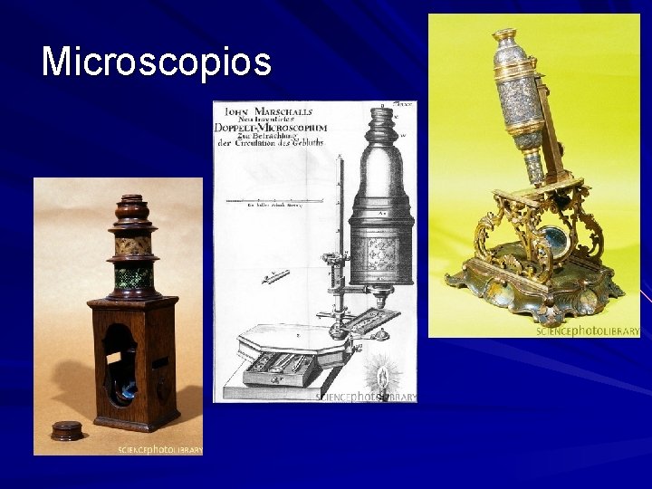 Microscopios Microscopios