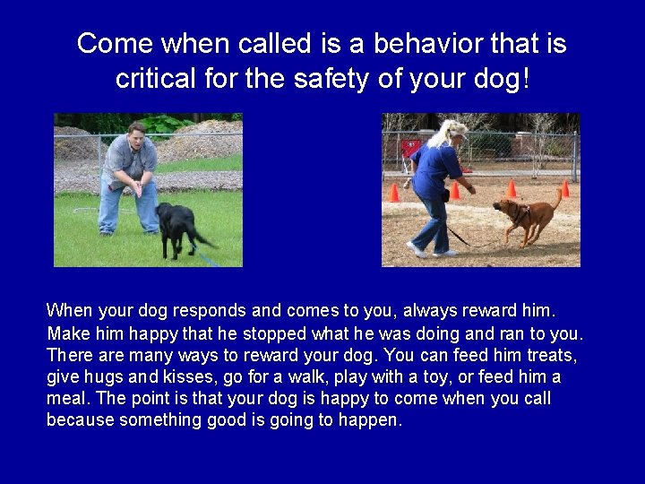 Come when called is a behavior that is critical for the safety of your