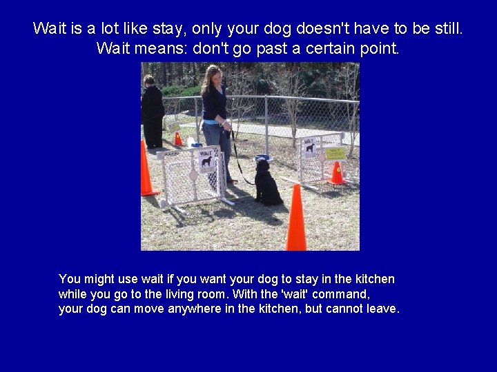 Wait is a lot like stay, only your dog doesn't have to be still.