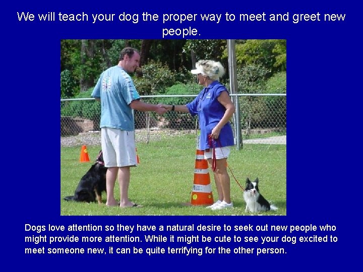 We will teach your dog the proper way to meet and greet new people.