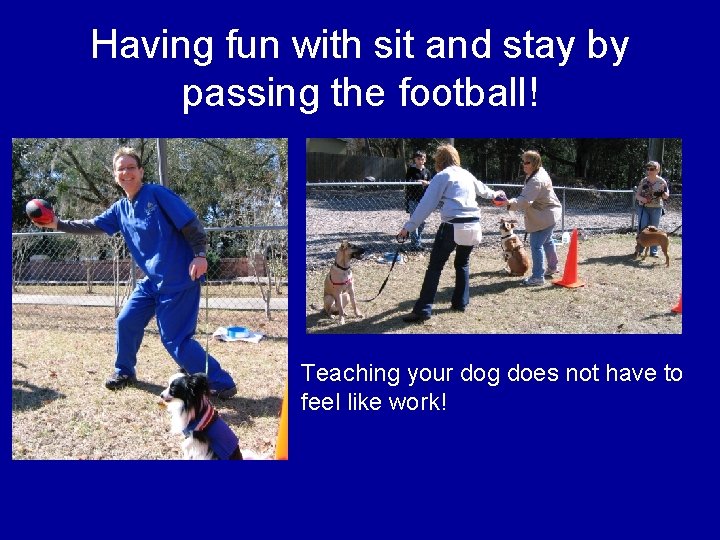 Having fun with sit and stay by passing the football! Teaching your dog does