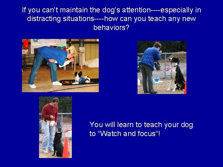 If you can’t maintain the dog’s attention----especially in distracting situations----how can you teach any