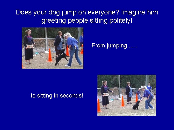 Does your dog jump on everyone? Imagine him greeting people sitting politely! From jumping