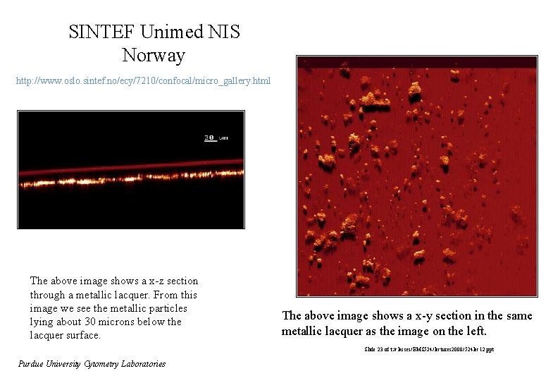 SINTEF Unimed NIS Norway http: //www. oslo. sintef. no/ecy/7210/confocal/micro_gallery. html The above image shows