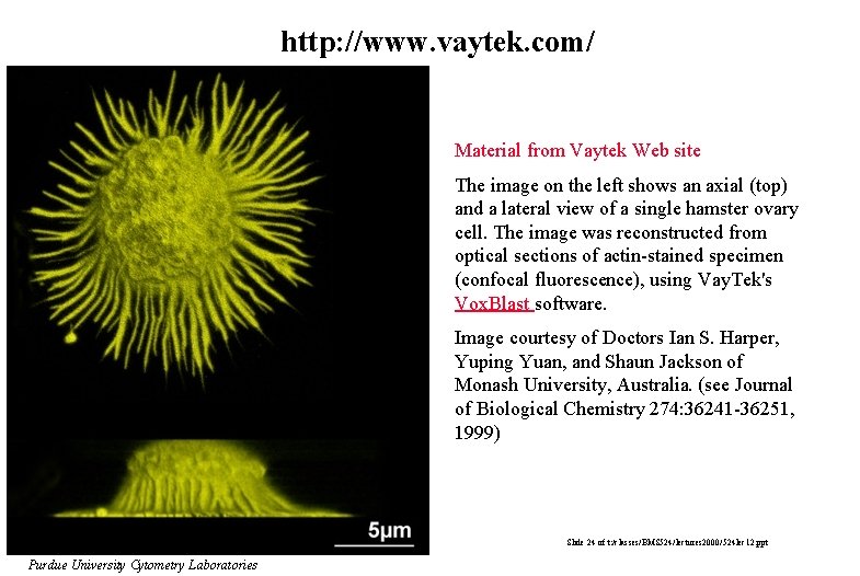 http: //www. vaytek. com/ Material from Vaytek Web site The image on the left