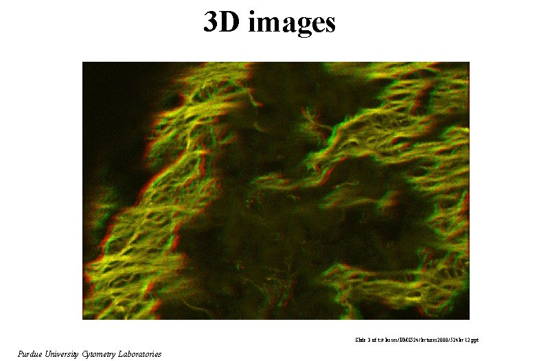 3 D images Slide 3 of t: /classes/BMS 524/lectures 2000/524 lec 12. ppt Purdue