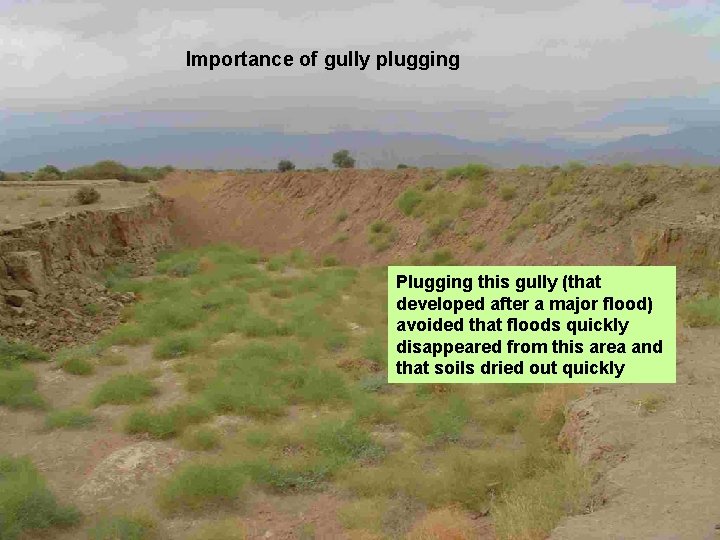 Importance of gully plugging Plugging this gully (that developed after a major flood) avoided