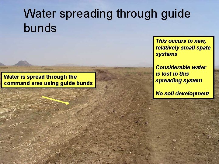 Water spreading through guide bunds This occurs in new, relatively small spate systems Water