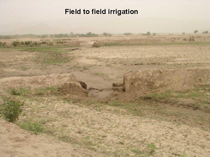 Field to field irrigation 
