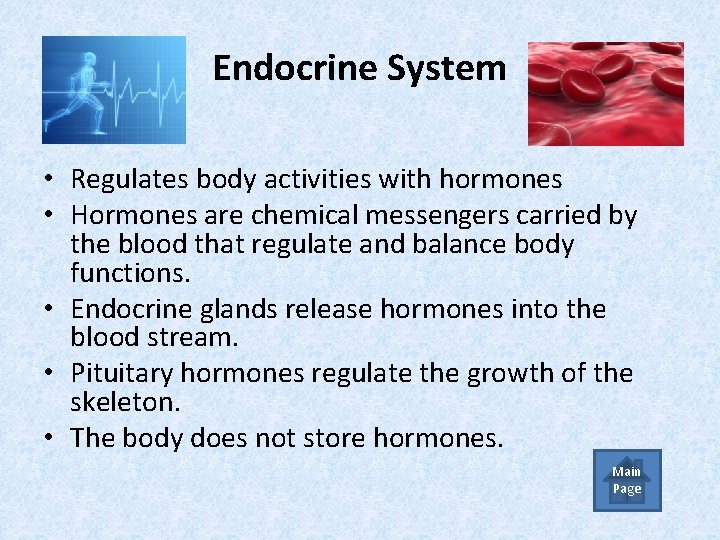 Endocrine System • Regulates body activities with hormones • Hormones are chemical messengers carried