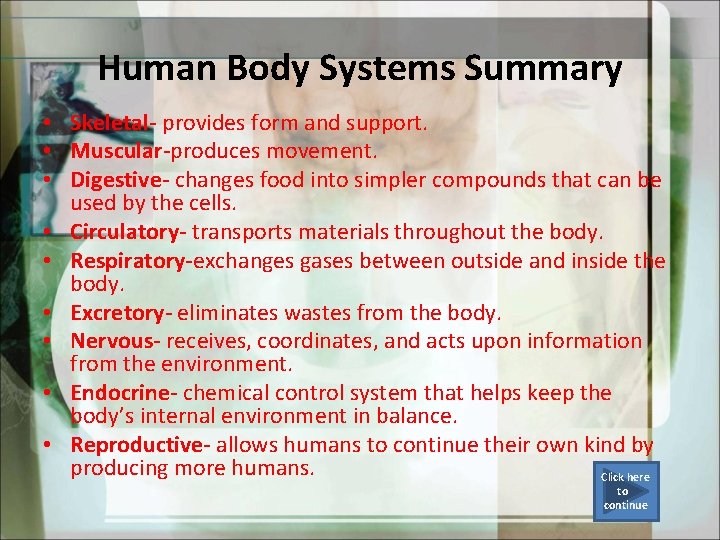 Human Body Systems Summary • Skeletal- provides form and support. • Muscular-produces movement. •