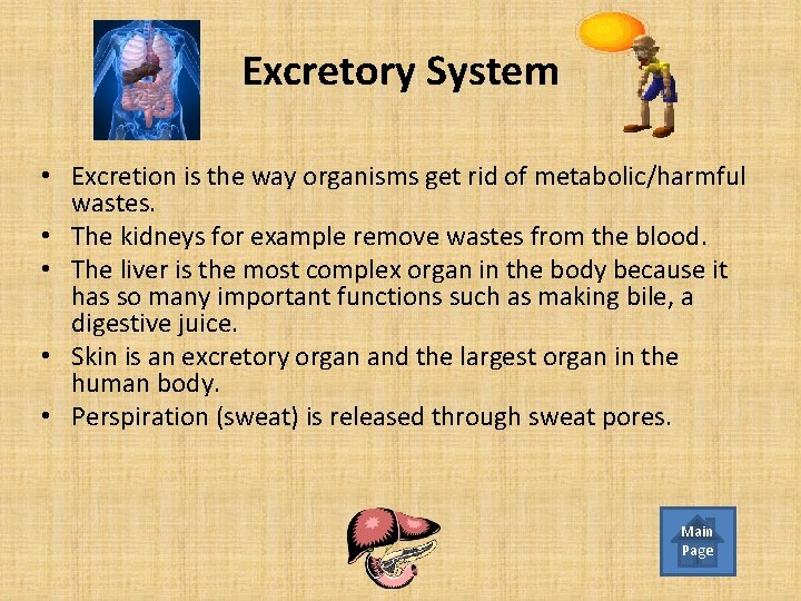 Excretory System • Excretion is the way organisms get rid of metabolic/harmful wastes. •