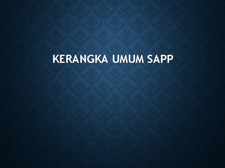 KERANGKA UMUM SAPP 