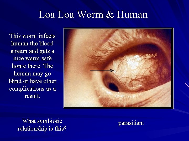 Loa Worm & Human This worm infects human the blood stream and gets a