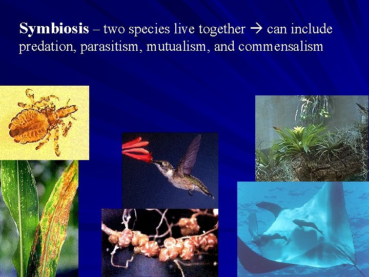 Symbiosis – two species live together can include predation, parasitism, mutualism, and commensalism 