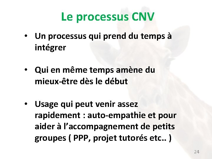 Le processus CNV • Un processus qui prend du temps à intégrer • Qui