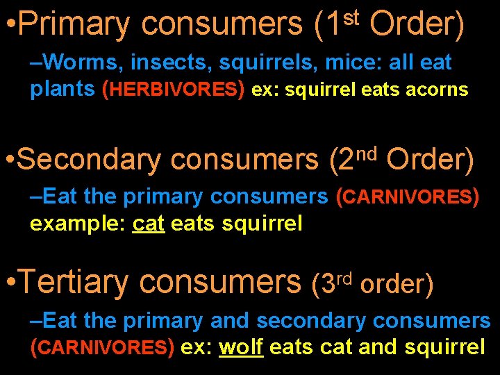  • Primary consumers st (1 Order) –Worms, insects, squirrels, mice: all eat plants