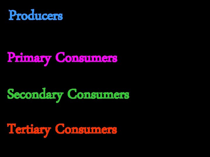 Producers Primary Consumers Secondary Consumers Tertiary Consumers 