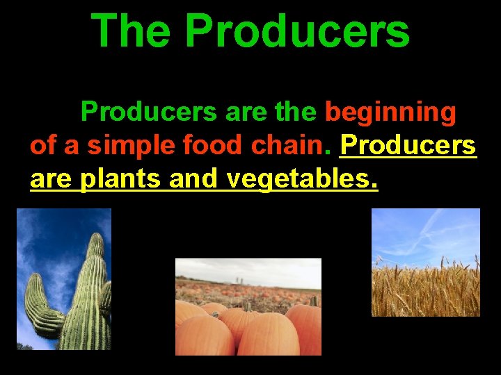 The Producers are the beginning of a simple food chain. Producers are plants and