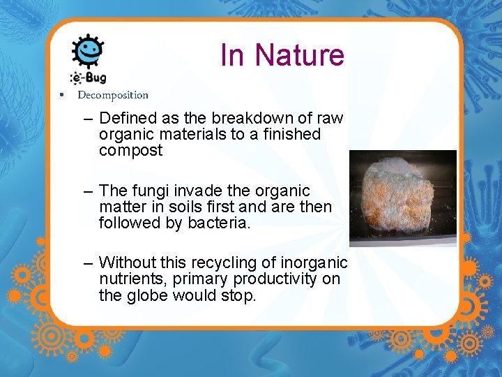 In Nature • Decomposition – Defined as the breakdown of raw organic materials to