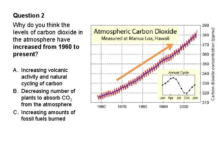 Question 2 Why do you think the levels of carbon dioxide in the atmosphere