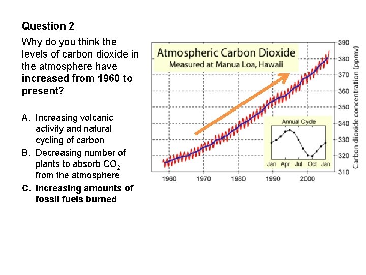 Question 2 Why do you think the levels of carbon dioxide in the atmosphere