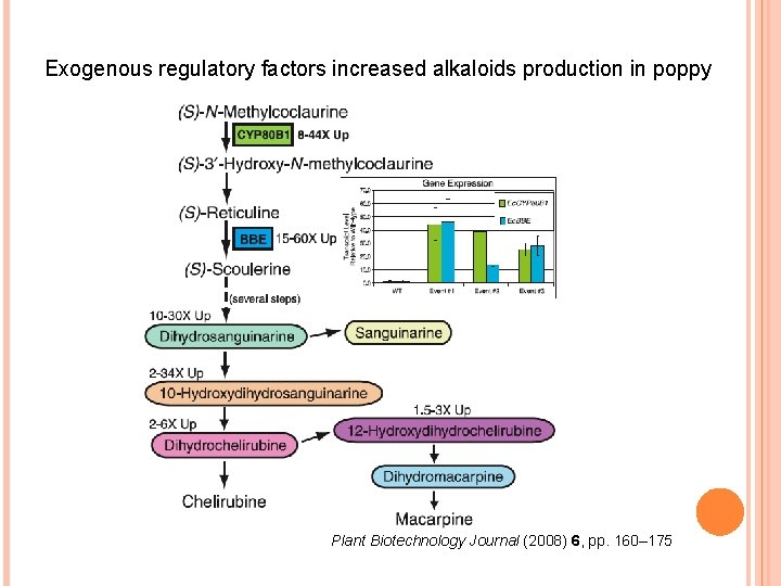 Exogenous regulatory factors increased alkaloids production in poppy Plant Biotechnology Journal (2008) 6, pp.