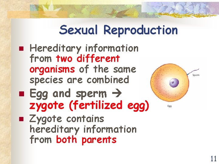 Sexual Reproduction n Hereditary information from two different organisms of the same species are