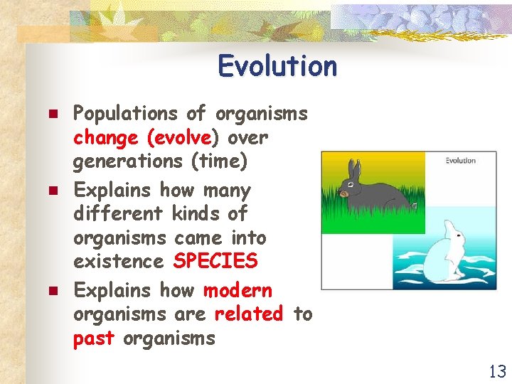 Evolution n Populations of organisms change (evolve) over generations (time) Explains how many different
